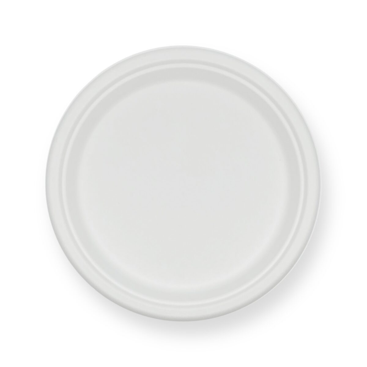 10 Inch Bagasse Round Plate - Image 1