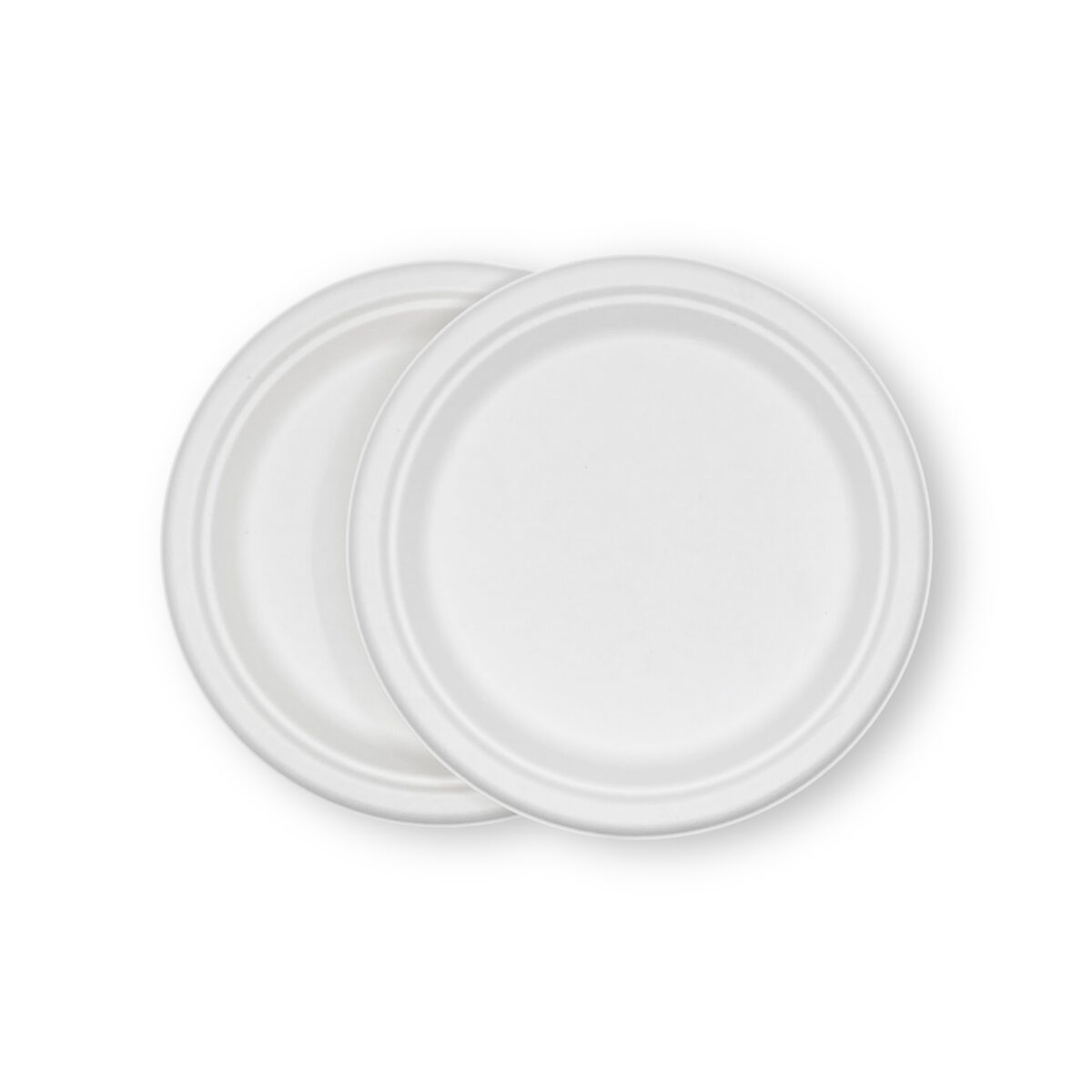 9 Inch Bagasse Round Plate - Image 3