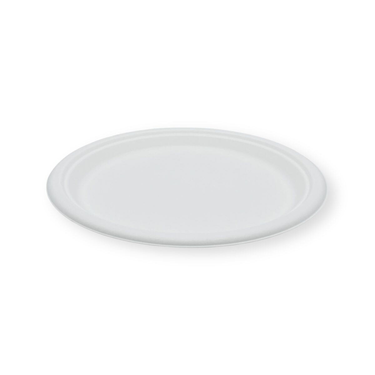 10 Inch Bagasse Round Plate - Image 2