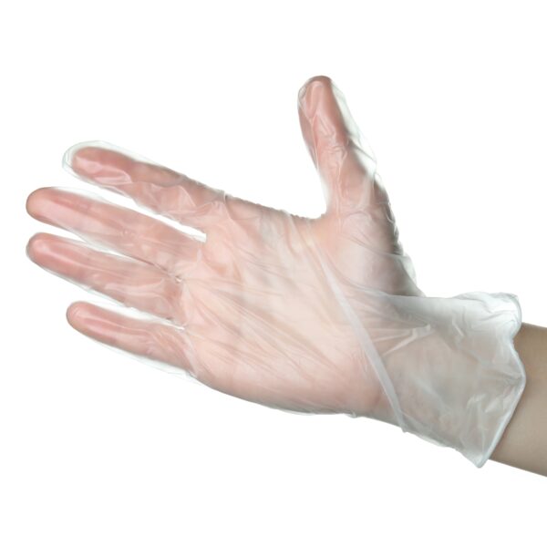 Vinyl Gloves - Powder Free (Large)