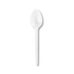 PP Regular Spoon - Unwrapped